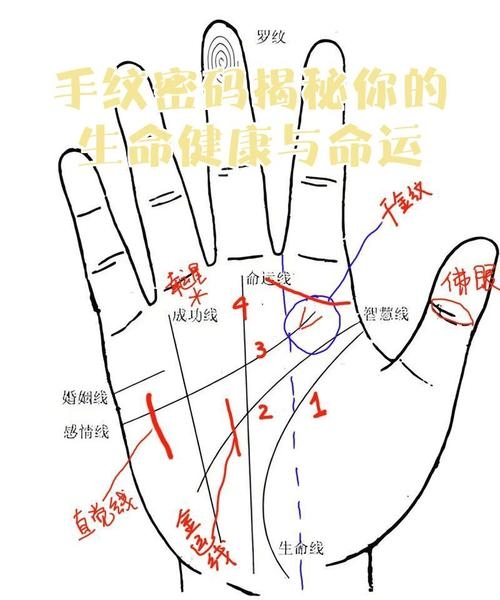 周易手相学，揭示生命密码的解读之道插图