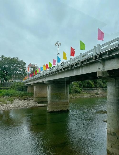 中越珍爱网，架起友谊与爱情的桥梁插图