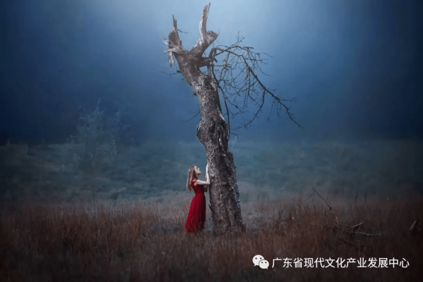 安徽守望者，在这片天地里寻找温暖与力量-方知甜