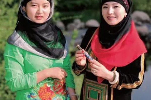 保安族资料汇总-方知甜