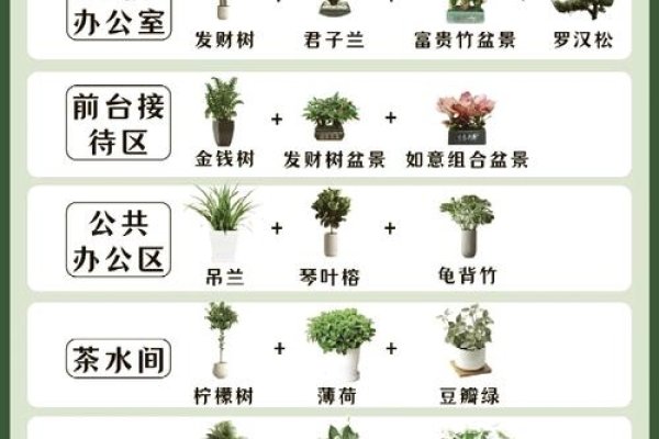 办公室花卉摆放，提升风水与健康的秘诀-方知甜