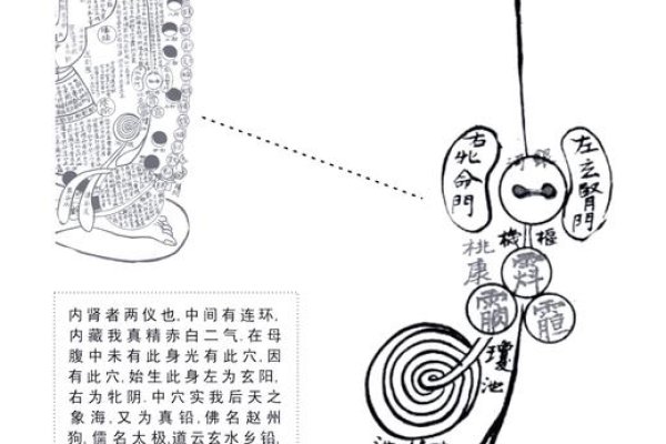 笔画算命，一笔一划中的命运奥秘-方知甜