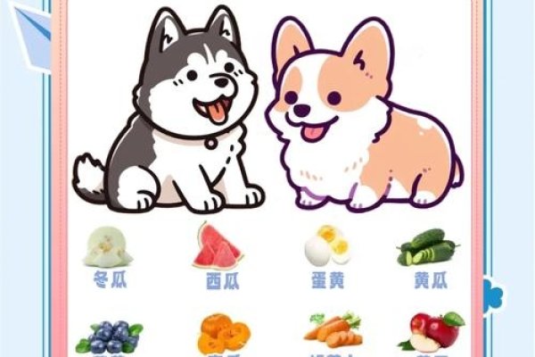 帮狗吃食，属相鼠最旺狗狗！-方知甜