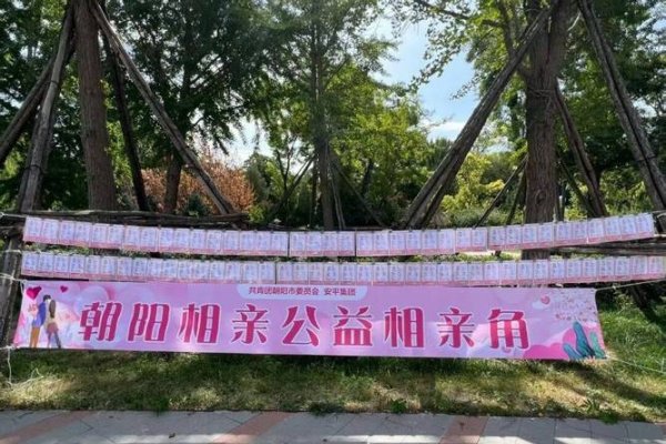 北京朝阳免费相亲会，高效脱单平台-方知甜