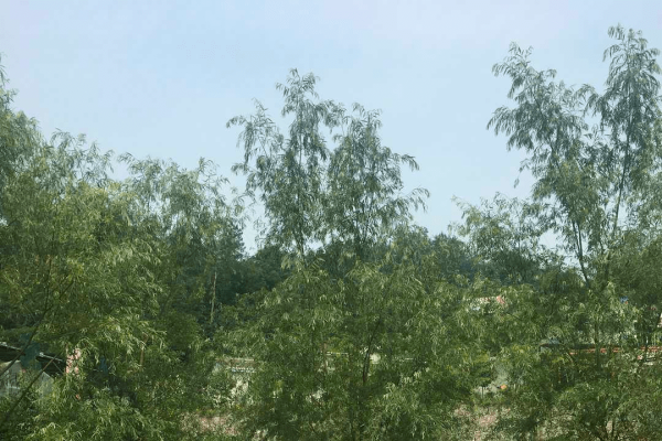 北京市征婚，打破传统择偶观念，寻找人生新方向-方知甜