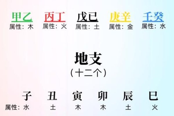 八字基础，掌握天干五行，洞悉命局本质-方知甜