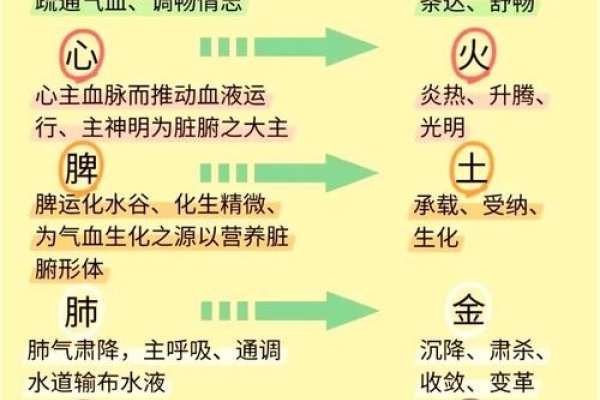 八字五行，探寻生命的密码，解析人体阴阳平衡-方知甜