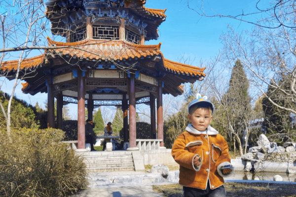 草长莺飞，生肖兔的春天活力-方知甜