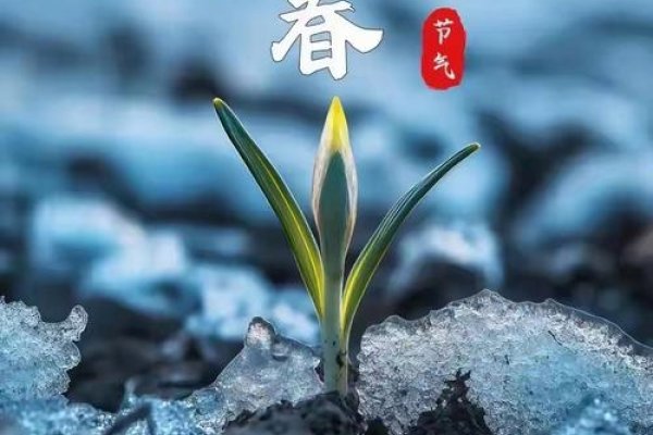 春回大地，立春节气里的生机与希望-方知甜