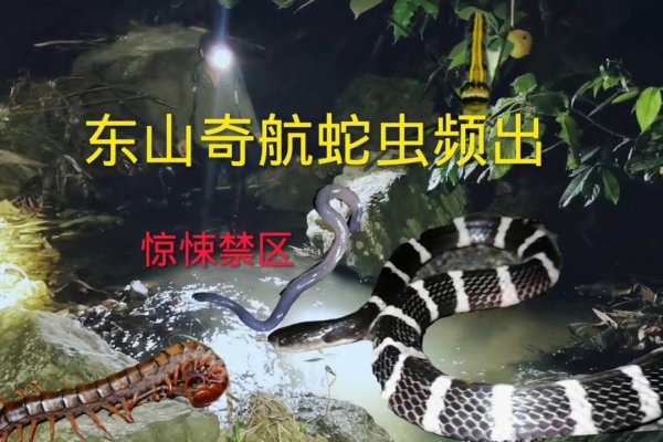 长脚的蛇，自然界的奇异奇观-方知甜