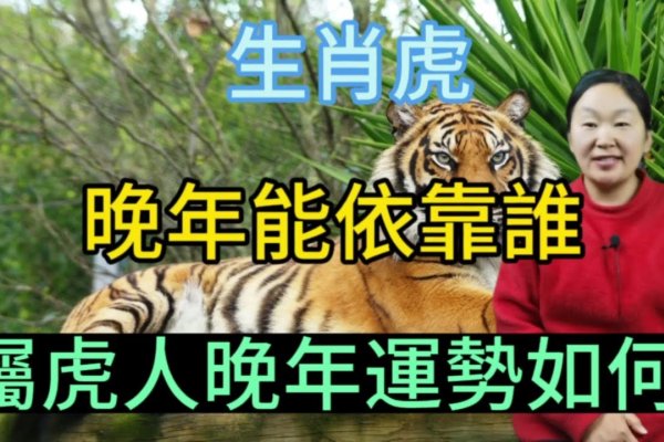 成家立业，生肖虎开创事业-方知甜