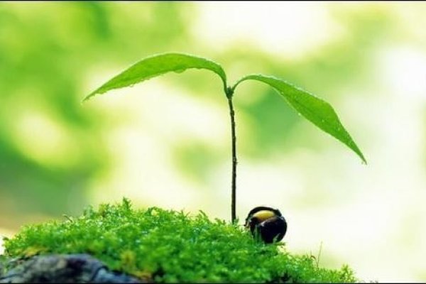 春日里的智慧,如何巧妙躲春,享受宁静与美好-方知甜