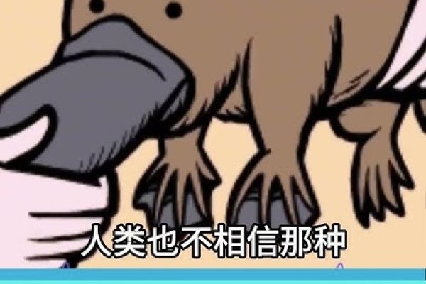 出水芙蓉，生肖之谜，直指龙尊-方知甜