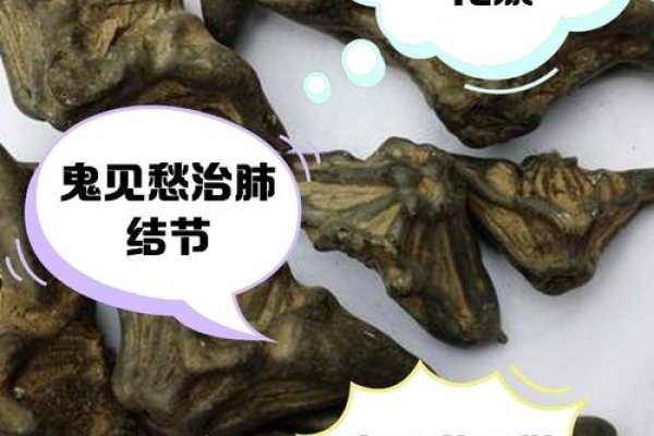 传统文化中的十种鬼见愁，你属于哪一种？-方知甜