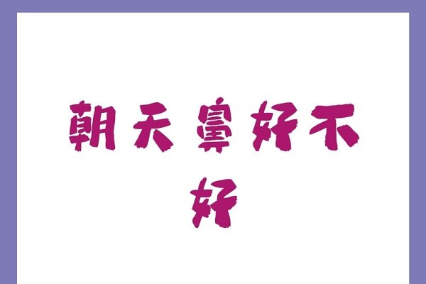 朝天鼻好不好，美学与功能的双重考量-方知甜