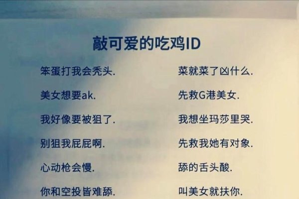 吃鸡创意昵称，从幽默到诗意，打造你的独特战场身份！-方知甜