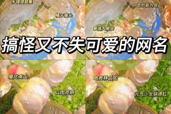 超嗨网名推荐、幽默昵称赏析-方知甜