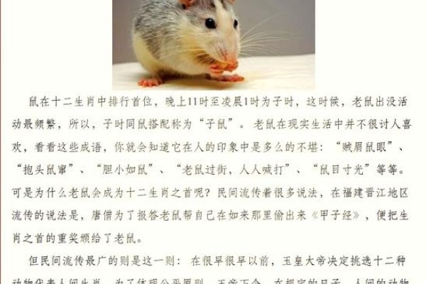 吃里扒外，生肖之谜，揭秘为何是鼠？-方知甜