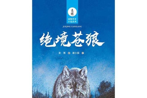 超炫QQ名，幻影苍狼，野性独立勇敢的独特追求-方知甜