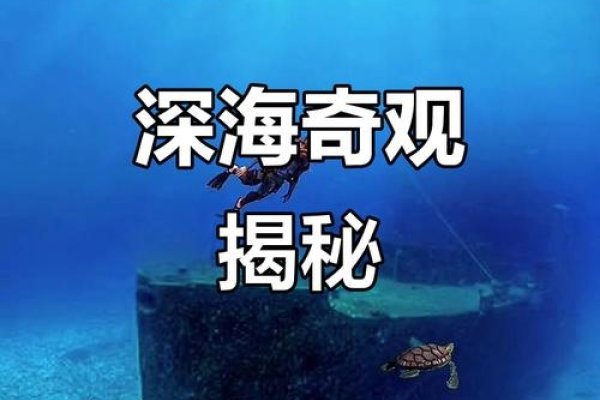 大海水命的奥秘，探索海洋深处的不解之谜-方知甜