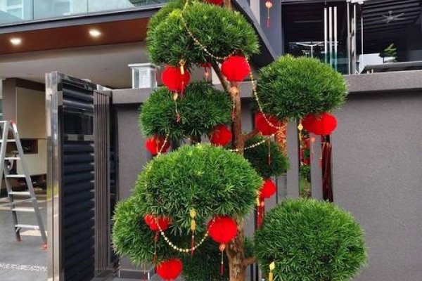 大门悬挂物最旺、树木美化环境-方知甜