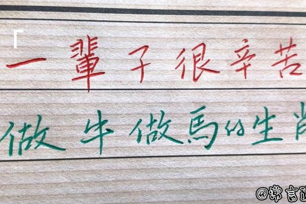 当牛做马打一生肖，寓意勤劳坚韧的羊。-方知甜