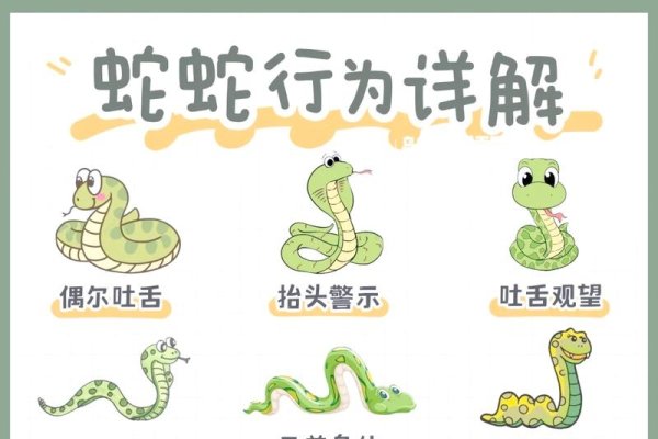 多事之秋生肖及蛇与其契合-方知甜