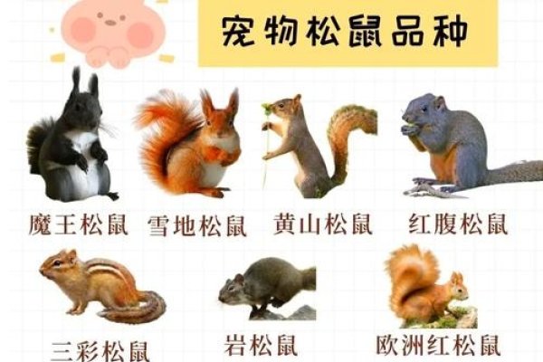 动物名称大全，探索自然界的生命多样性-方知甜