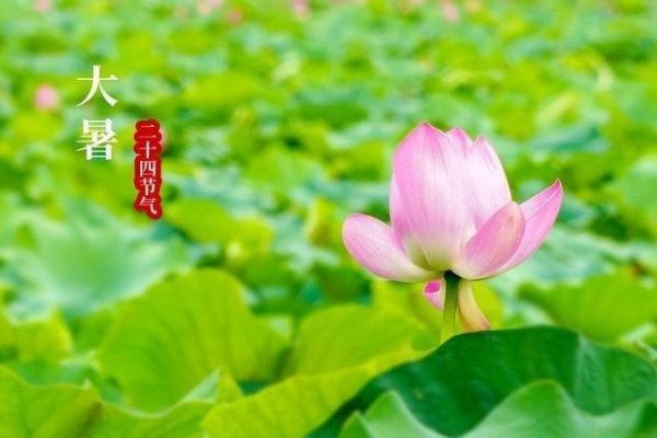 大暑节气特点-方知甜