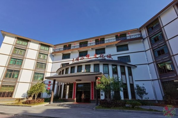 大埔征婚，寻找传统与现代的交汇点-方知甜