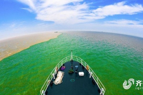 东营交友，在黄河入海口编织温暖的人际网-方知甜