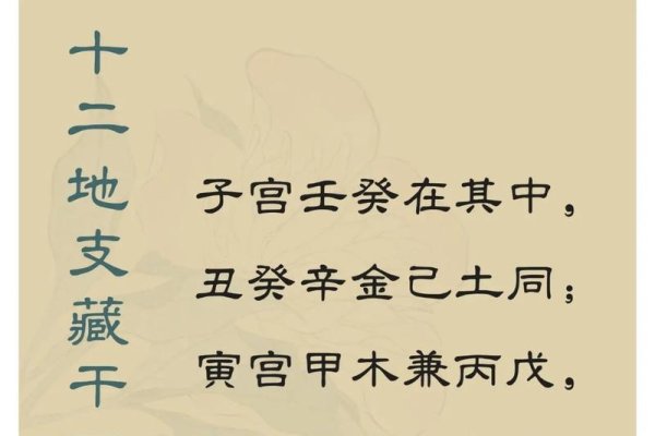 地支藏干，开启天干地支智慧之门的密钥-方知甜