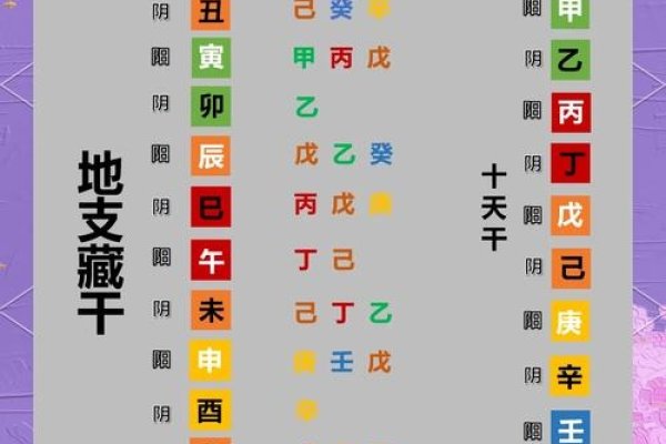 地支藏干，十二生肖与天干的奥秘-方知甜