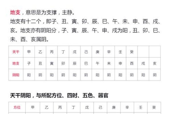 地支三会与天干五行，解析命理基础，探索运势奥秘-方知甜
