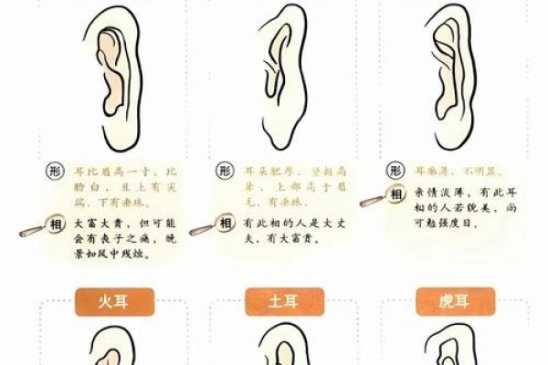 耳大福气，传统相学与现代健康的寓意解读-方知甜