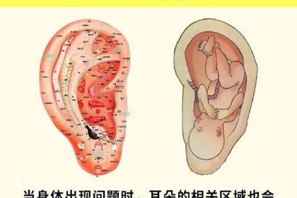 耳热预测，科学认知，精准掌控健康-方知甜