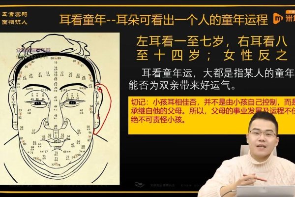 耳朵大小与运势，传统与现代观点解析-方知甜