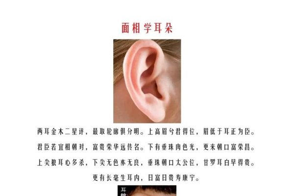 耳朵看相，解读你的内在特质与命运-方知甜