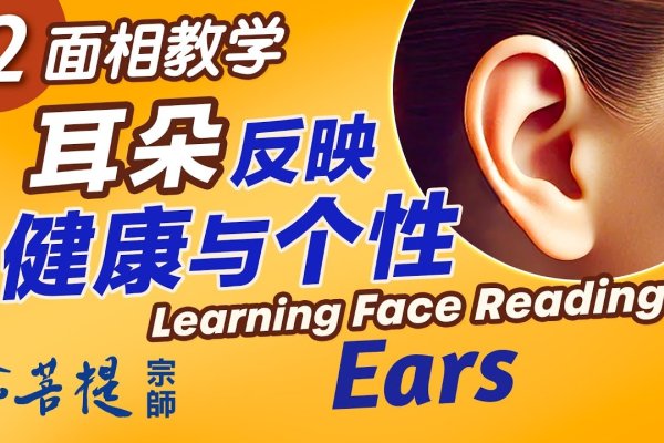 耳相与学业、命运，面相图解解析-方知甜