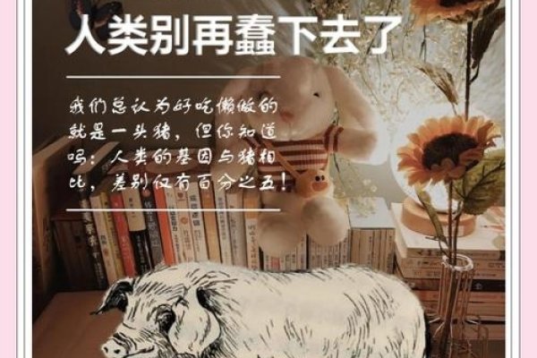 凡夫俗子话生肖——揭秘猪的平凡与智慧-方知甜