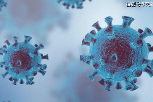 风水专家，解读自然与人的和谐之道-方知甜