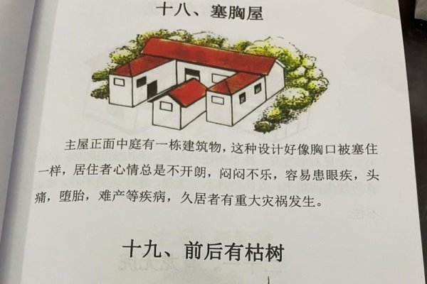 风水知识入门，打造和谐居住环境的智慧-方知甜