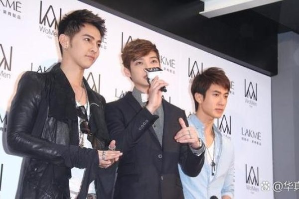 飞轮海成员名单出炉，吴尊、汪东城等活跃在港台地区。-方知甜