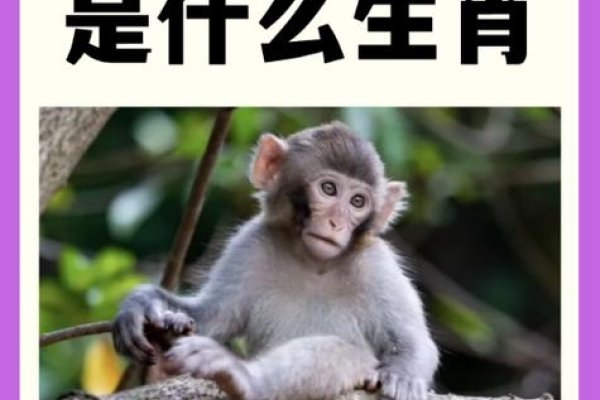 风韵犹存答案为生肖蛇-方知甜