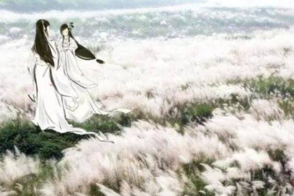 古典雅琼，诗经之韵，唯美佳偶-方知甜