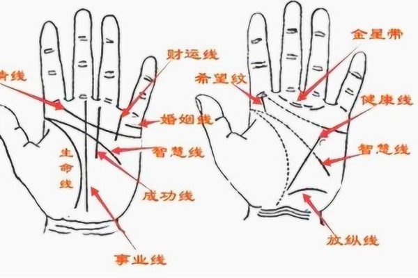 古代印度手相学，解读生命与健康细节-方知甜