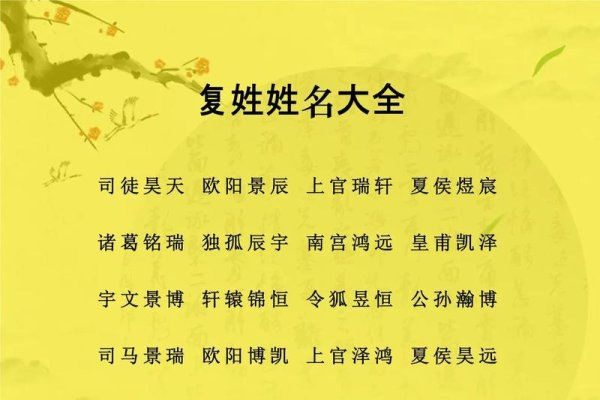 古风复姓名字精选-方知甜