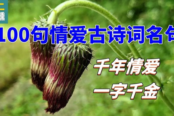 共你白发，期许百年，古风诗意情侣名-方知甜