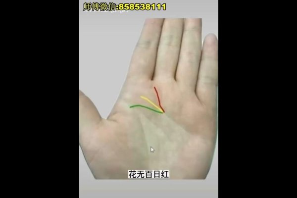 感情线分叉，多情与家庭影响下的爱情之路-方知甜