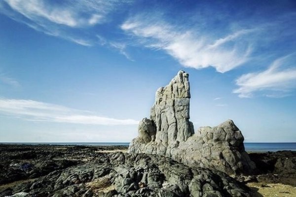 过山之虎的寓意勇猛无畏、气势磅礴，不同情境下能助力成长 。-方知甜